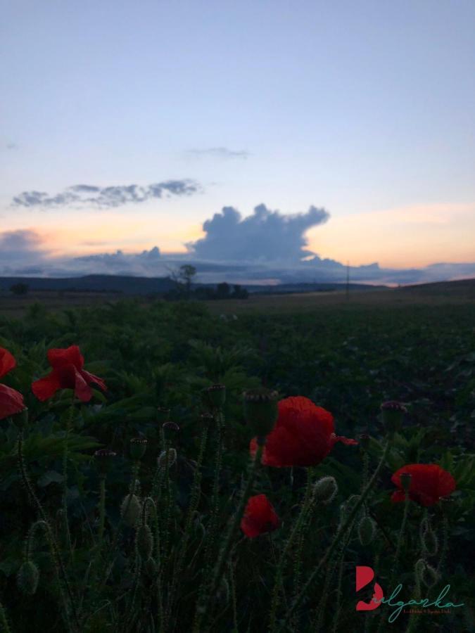 Guest House Bulgarka Dibich Екстериор снимка